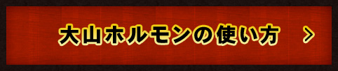 大山ホルモンの使い方
